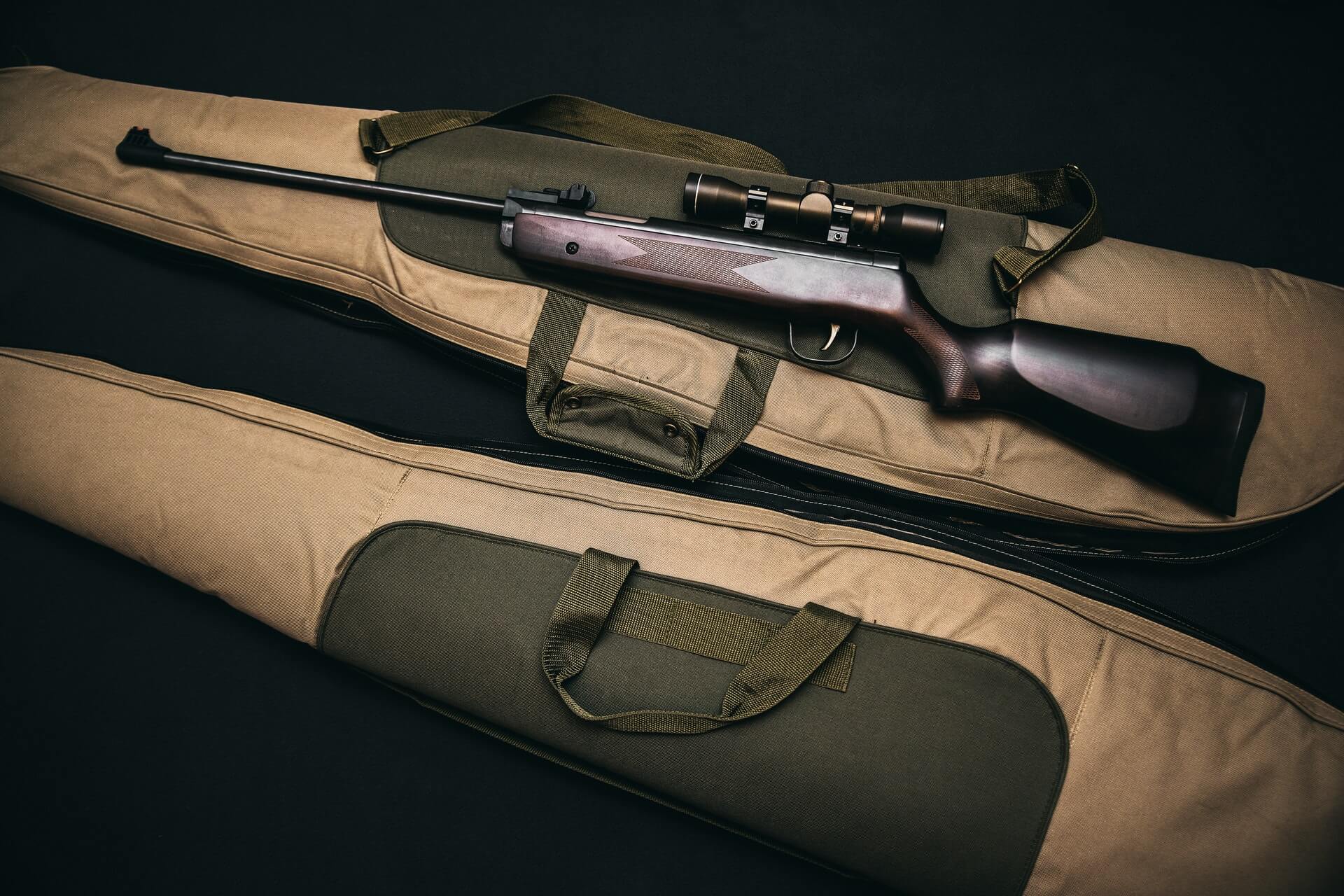 Scopri di più sull'articolo What Does Weapons Law Mean for You?
